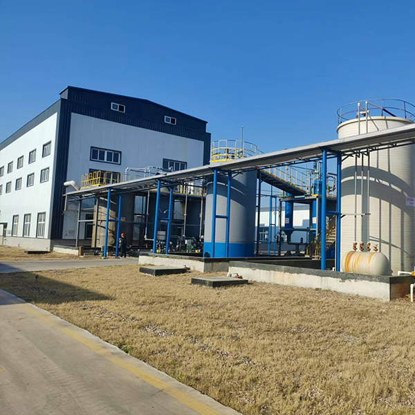 1731309037319305.jpg 2.jpg